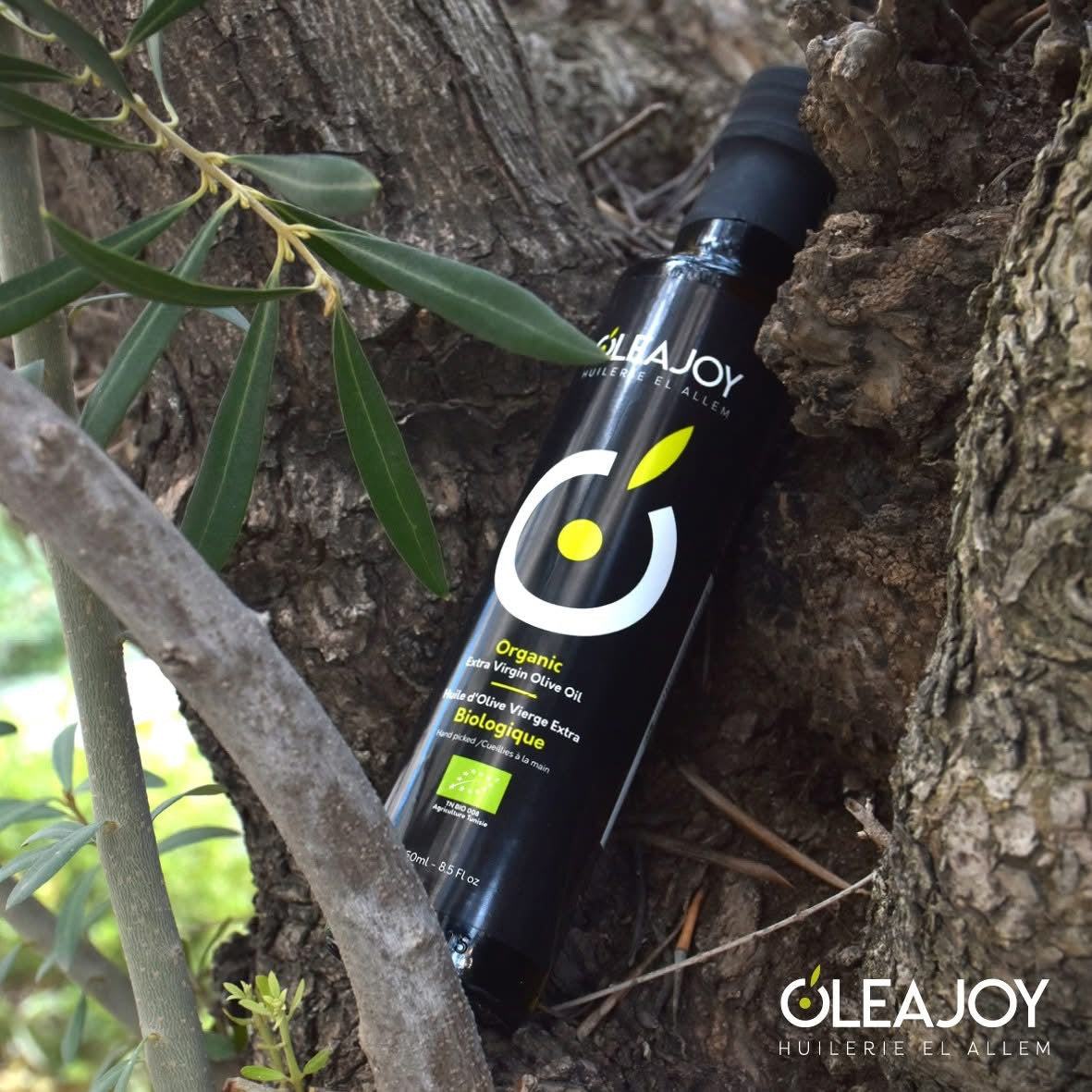 OleaJoy Organic Extra Virgin Olive Oil 250ml